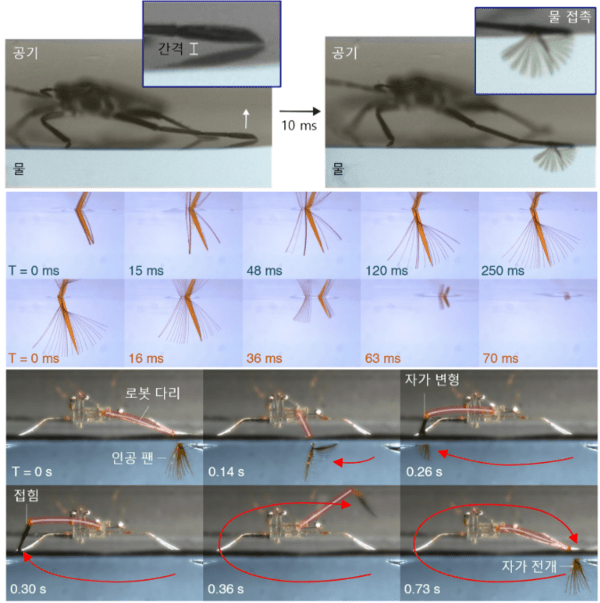 고제성 교수 연구팀이 만든 로봇 라고벨리아 / 사진 과기정통부