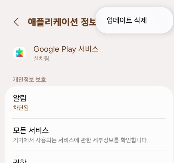 구글 플레이 서비스 앱의