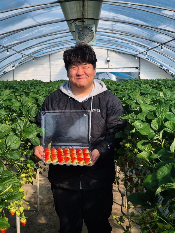 김상재 다올팜 대표가 베이커리 데코용 딸기 상품을 들고 있는 모습 / 사진 쿠팡