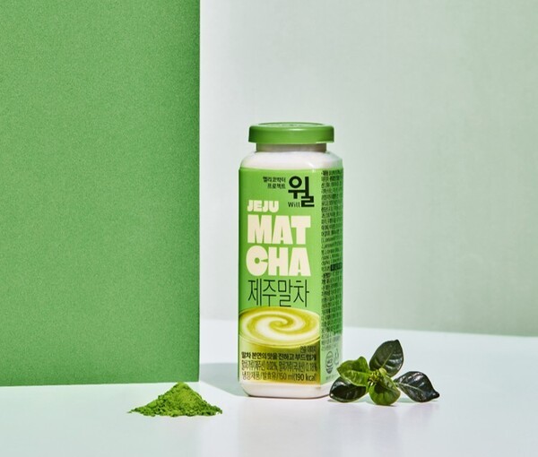 hy의 윌 제주말차 모습 / 사진 hy